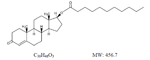 product-505-202